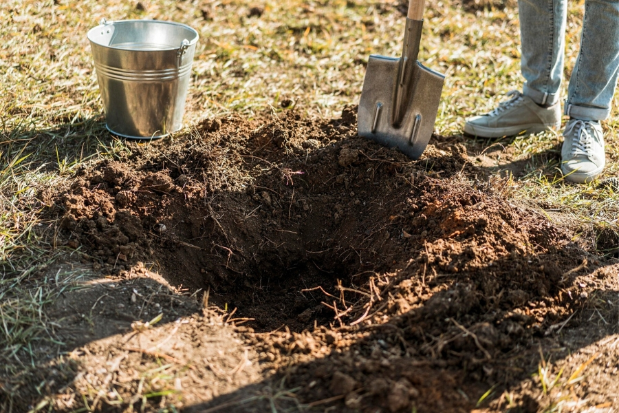 Soil Removal in Farmersville Springs, TX